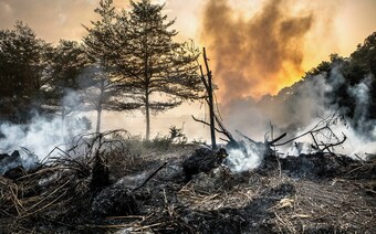 Оценка ущерба после стихийного бедствия в Подольске: отчет оценщика